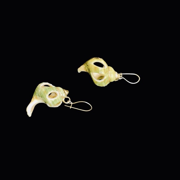 EXTRAORDINARY ~ HANDMADE ~ EXOSKELETON SHELL & GOLD TRIMMED ~ EARRINGS ~ 1" - Picture 3 of 11